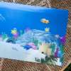 AQUA DREAM - Image 3