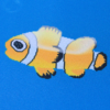 AQUA DREAM - Image 6