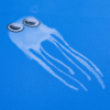 AQUA DREAM - Image 7