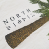 North Palm Mall - Image 2