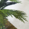 North Palm Mall - Image 3