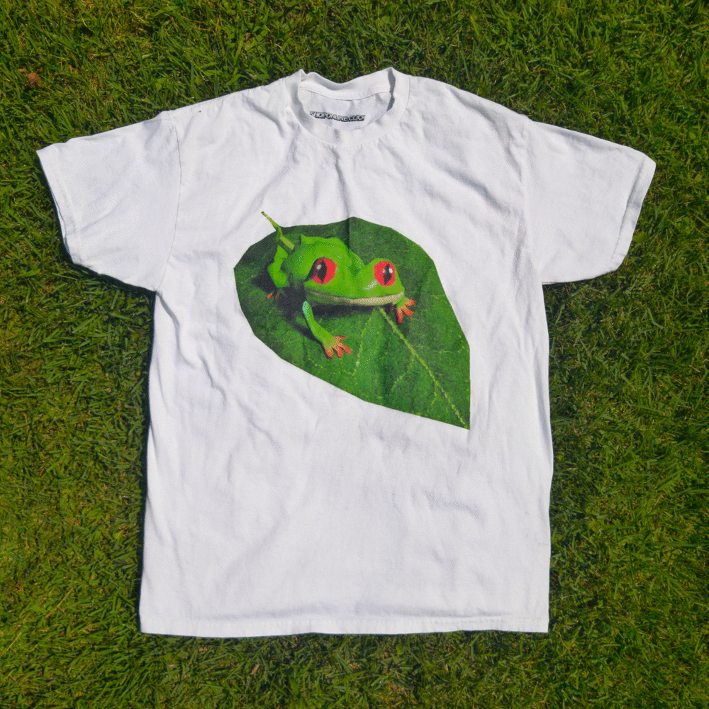 Frog Survey